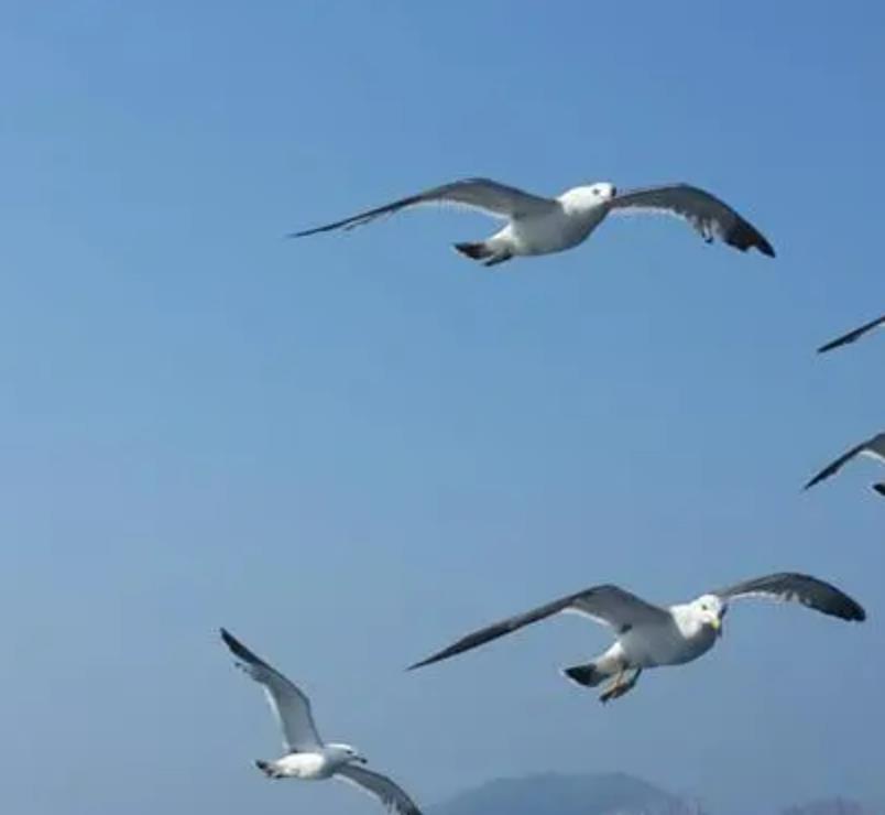 校友交流會(huì)